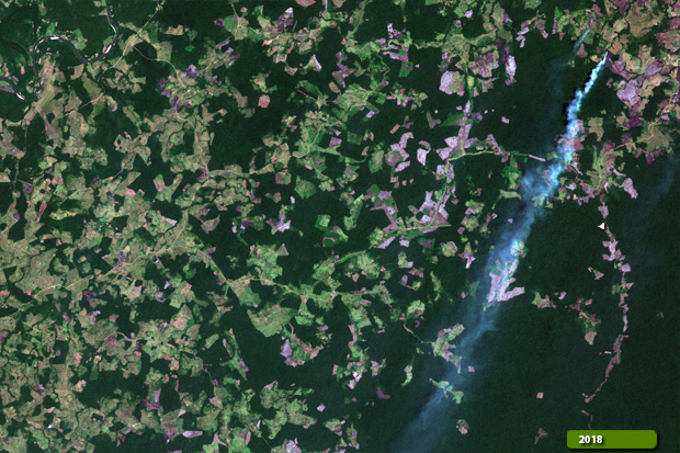Sentinel-2 images the globe every 5 days