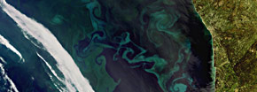 Marine Monitoring