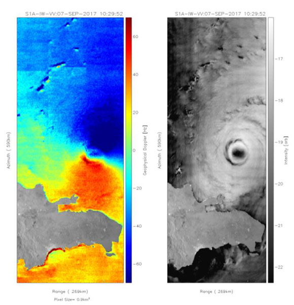 Surface Radial Velocity (RVL)