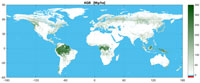 GlobBiomass