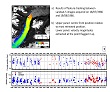 Image for The dynamics of Daugaard Jensen Gletscher from 1985 to 2011