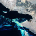 Image for Help wanted on tracking biodiversity from space
