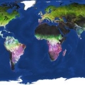 Image for Land-cover dynamics unveiled