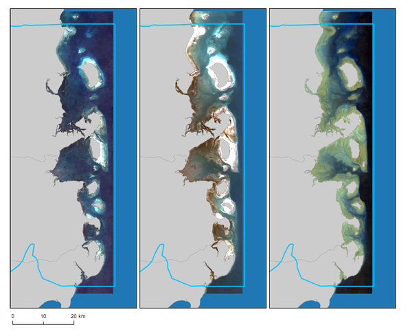 Sentinel-2 multi-temporal mosaic