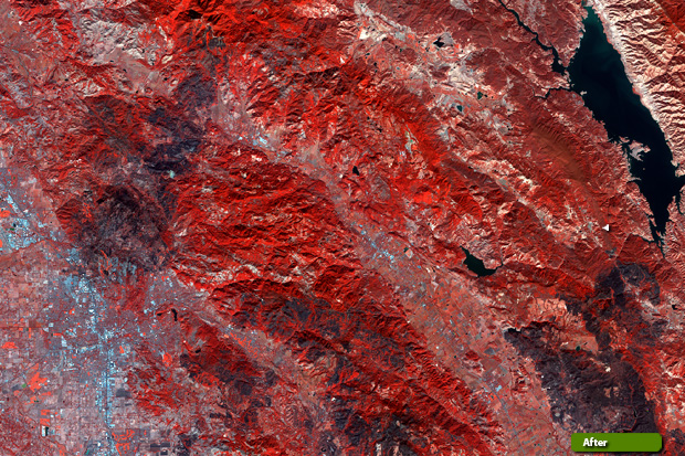 Sentinels bring wildfires into focus