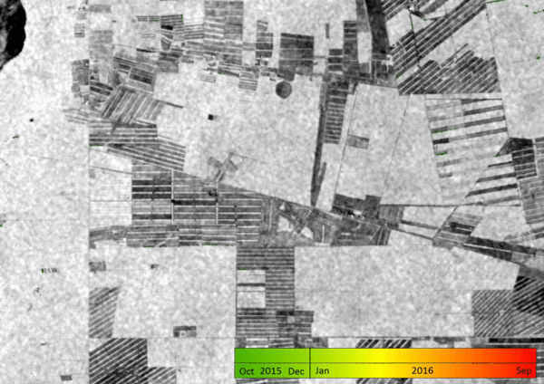 Sentinels accelerate monitoring of forest change