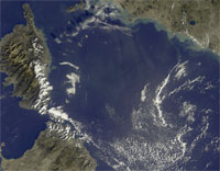 Meet an expert oceanographer