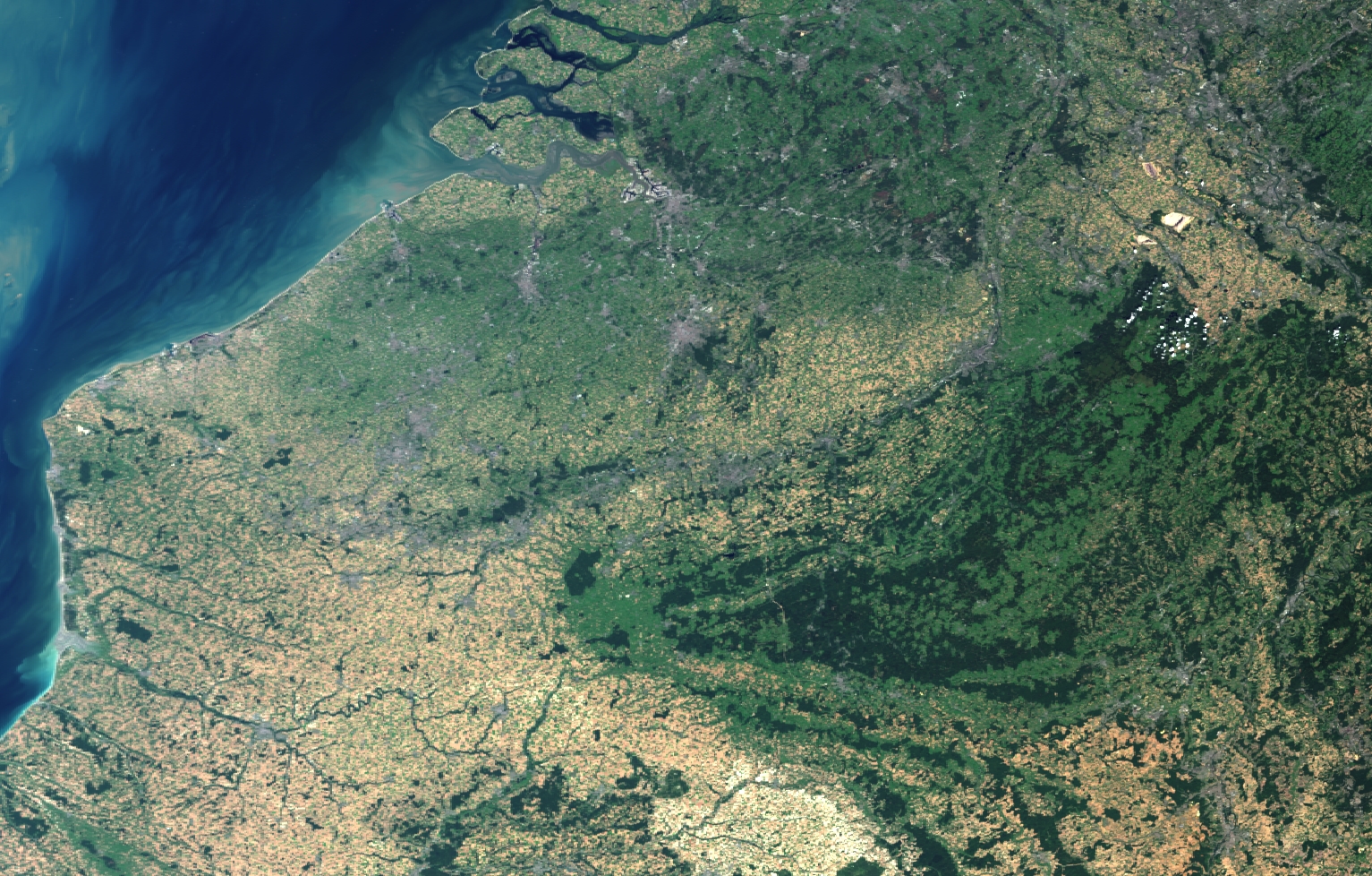 Sentinels-2 and -3 shine in Brussels