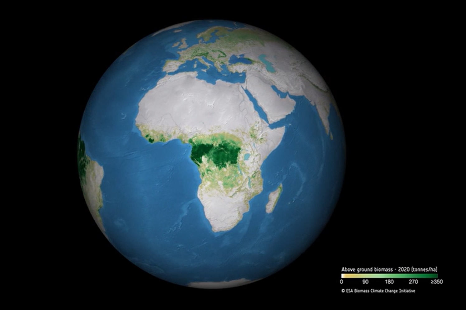 Copernicus Sentinel-1 essential for monitoring forest biomass