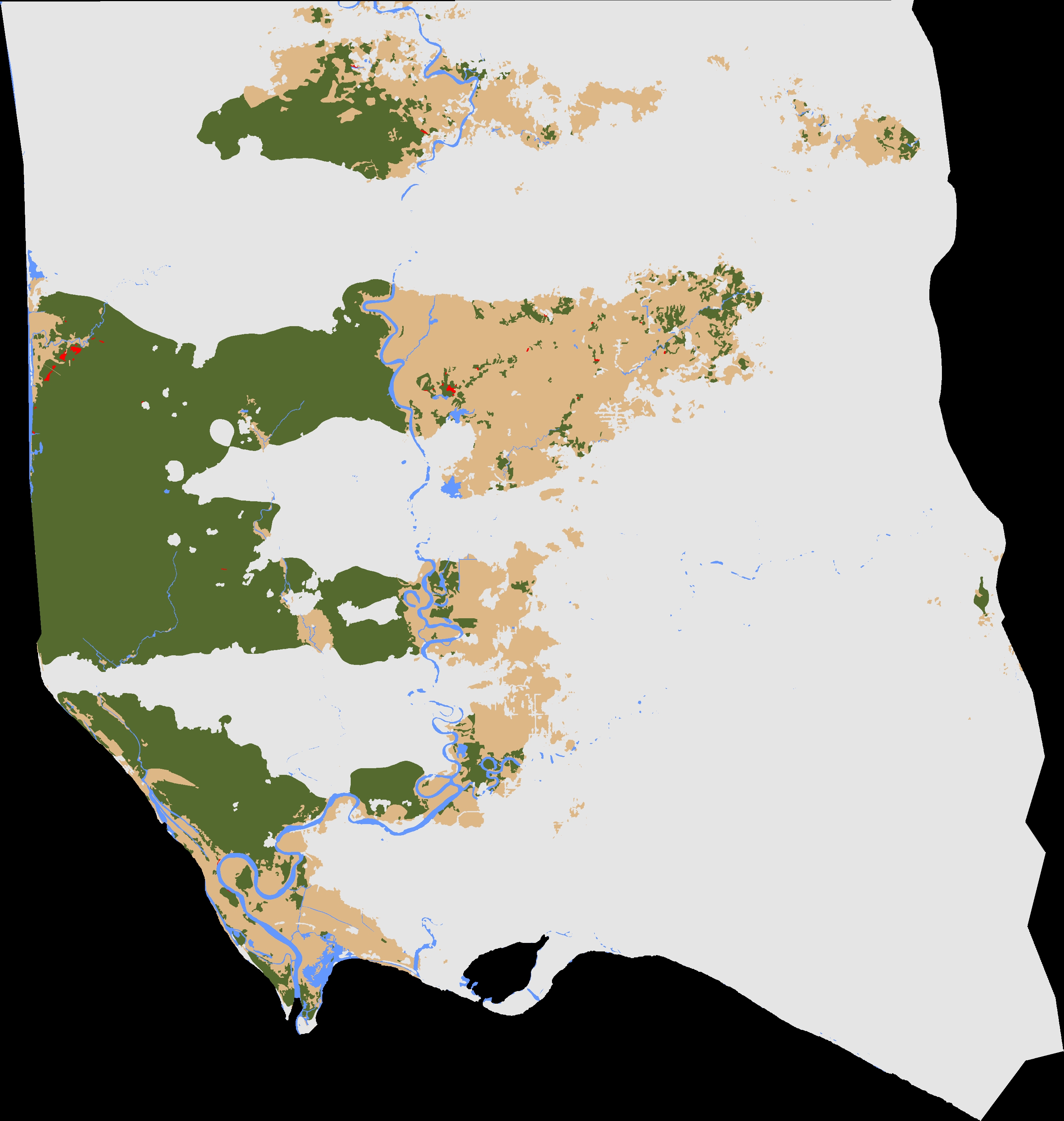 Deforestation classification map