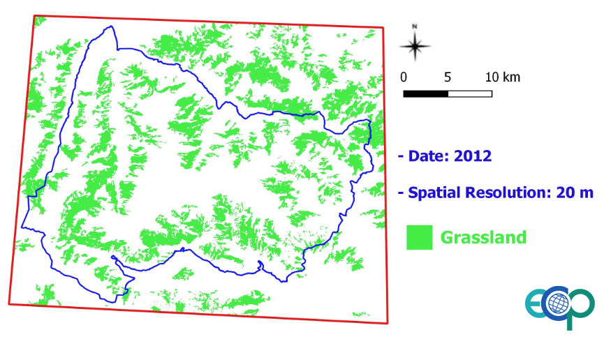 grassland layer