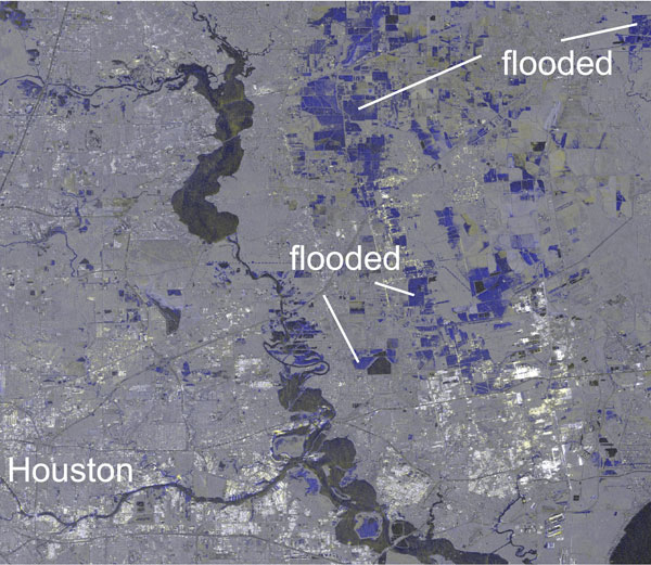 Houston floods