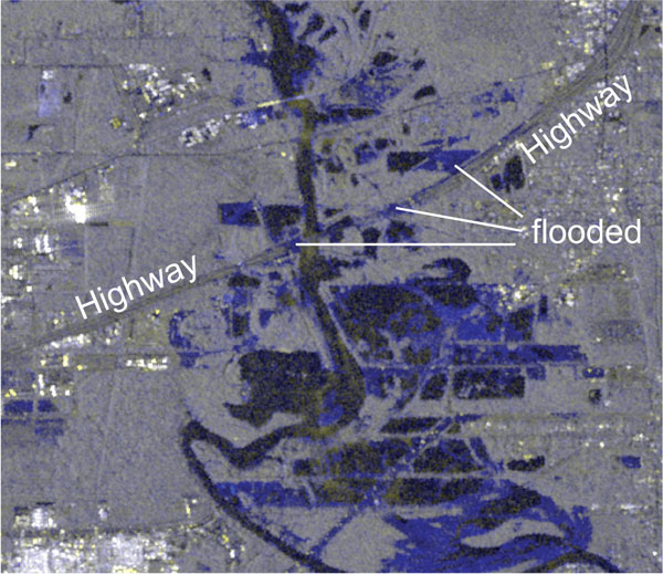 Houston flood details