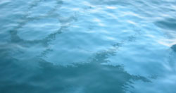 Shipboard observations of sea-surface slicks