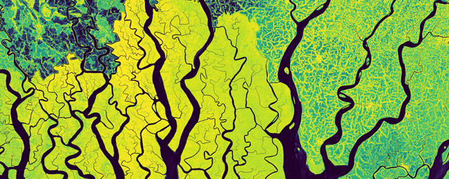 Sentinel-1 GBM images from Bangladesh
