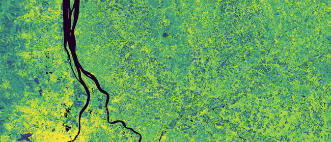Sentinel-1 GBM images showing land plots and fields