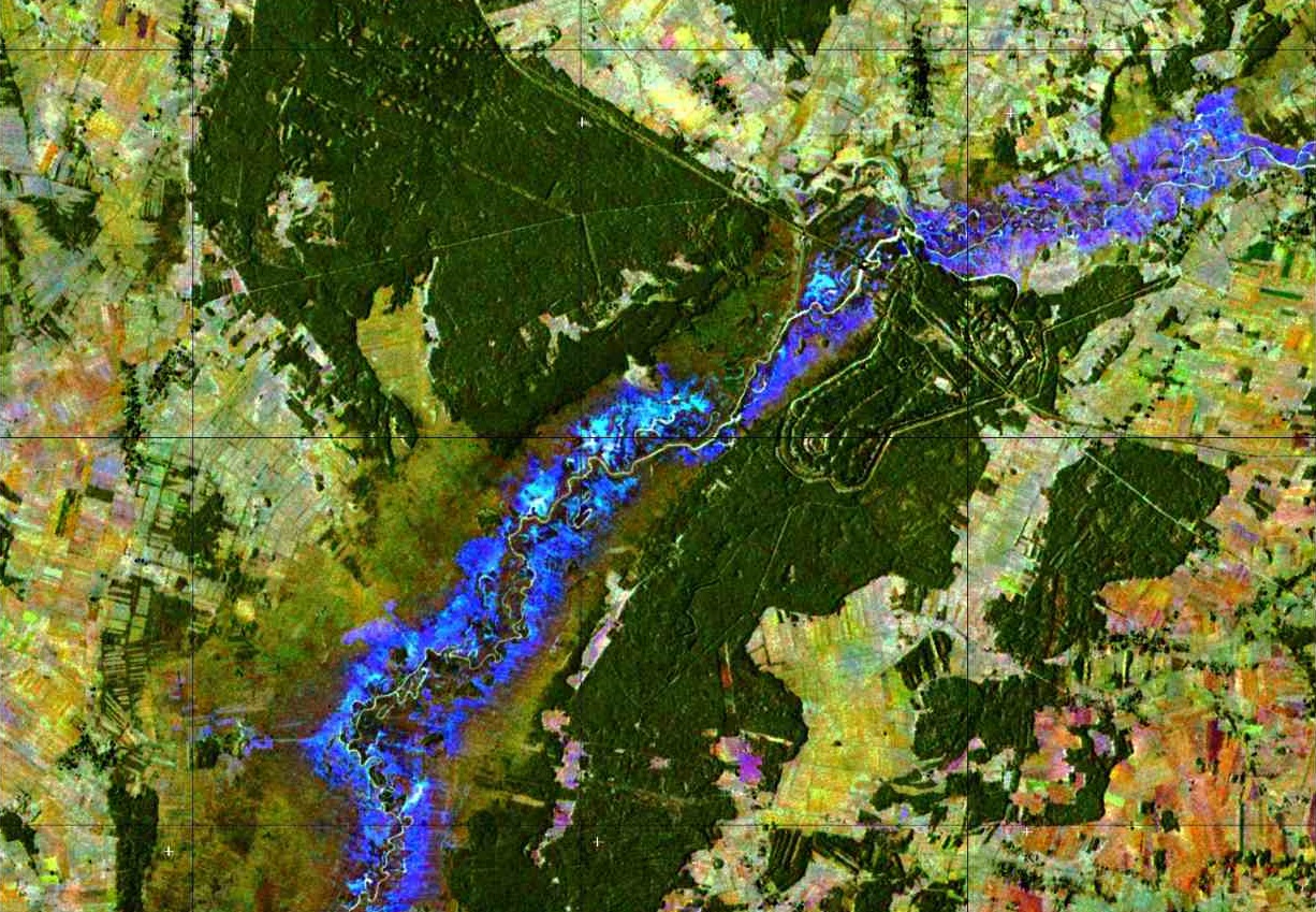 Sentinel-1 lends a hand in Poland's wetlands
