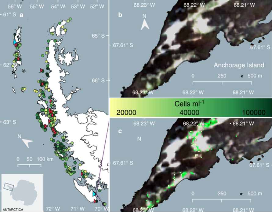 Copernicus Sentinel-2 helps research on algal blooms in Antarctica