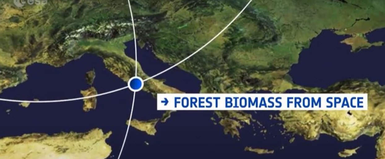 Forest Biomass from Space